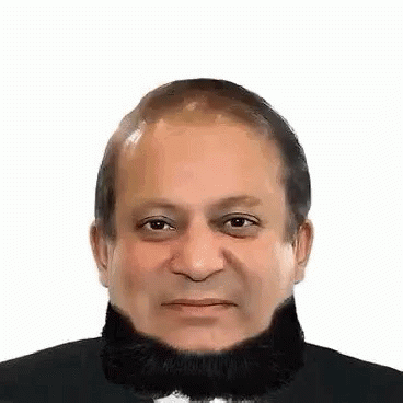 Nawaz Sharif Pmln GIF