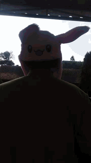 a man wearing a pink bunny hat with a smiling face on it