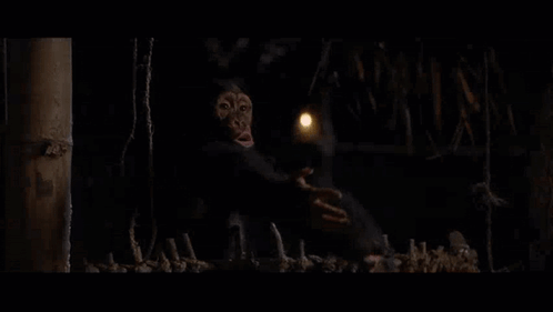 Chimpanzee Tarzan And The Lost City GIF - Chimpanzee Tarzan And The Lost City GIFs
