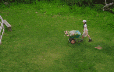 a woman pushes a wheelbarrow full of flowers in a field