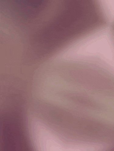 a close up of a cat 's nose with a pink ring around it