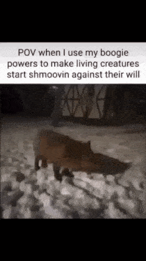 a boogie powers to make living creatures start shmooving against their will