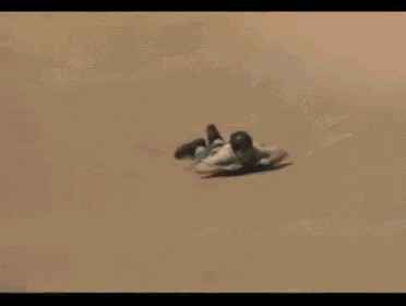 a person is laying on the ground holding a barcode reader .