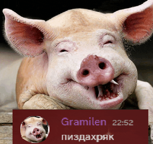 a picture of a pig with the time 22:52 on the bottom