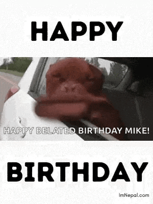 a dog is sticking its head out of the window of a car .