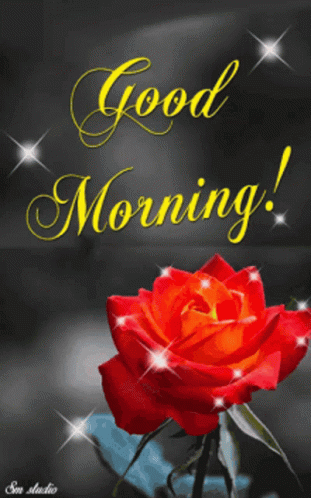 Good Morning Rose GIF - Good Morning Rose Red GIFs