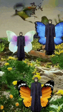 a man with butterfly wings stands in a field of flowers