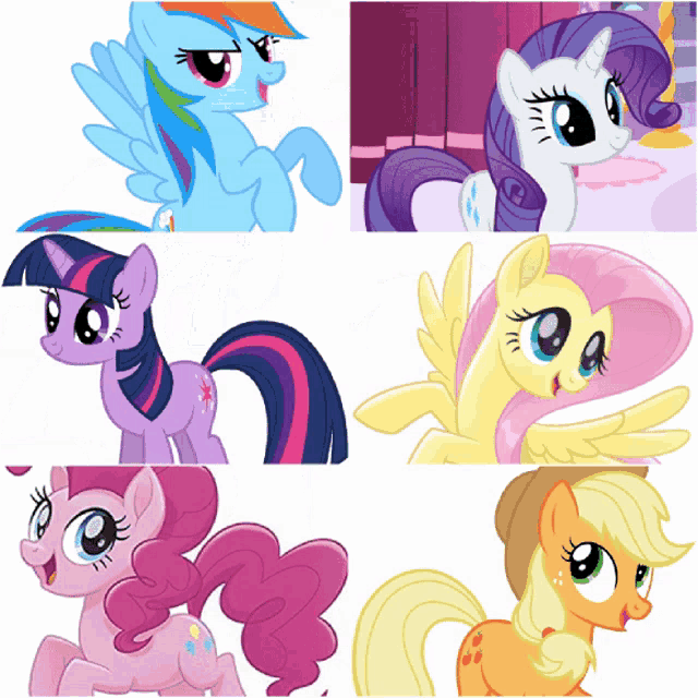rainbow dash twilight sparkle rarity fluttershy pinkie pie and applejack