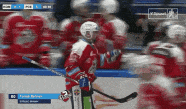 a hockey player named tomas relinek stands on the ice
