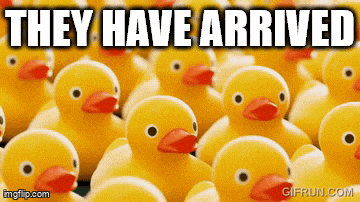 a bunch of rubber ducks with the words they have arrived