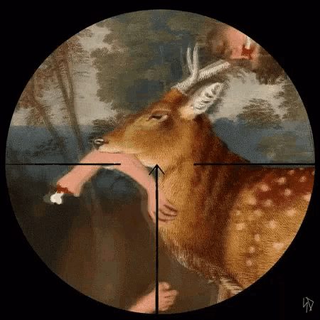 a sniper scope shows a deer eating a piece of meat