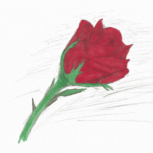 a drawing of red roses with green stems