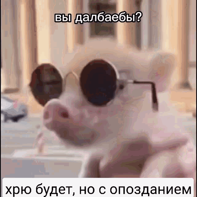 хрюбудет сопозданием GIF