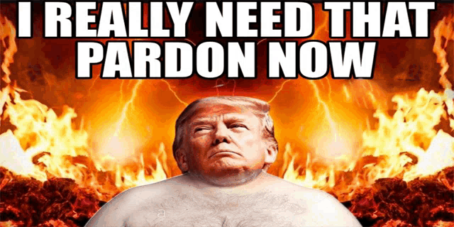a picture of a shirtless donald trump with the words " i really need that pardon now "