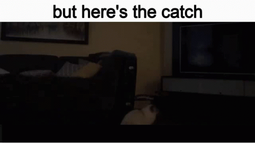 But Heres The But Heres The Catcher GIF - But Heres The But Heres The Catcher But Heres GIFs