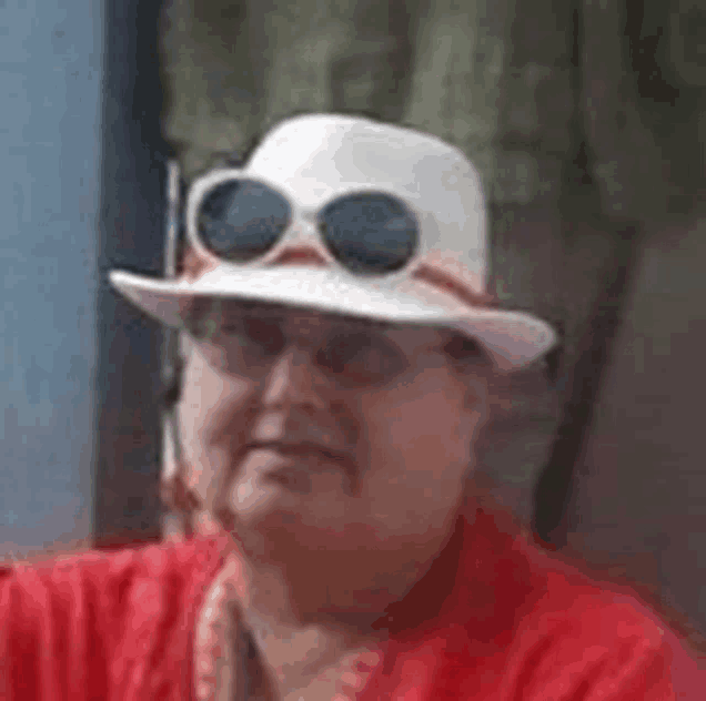 a woman wearing a hat and sunglasses is sitting down .