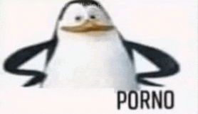 a penguin is standing in front of a white background with the word porno .