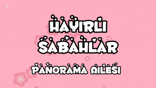 a pink background that says hayirli sabahlar panorama ailesi