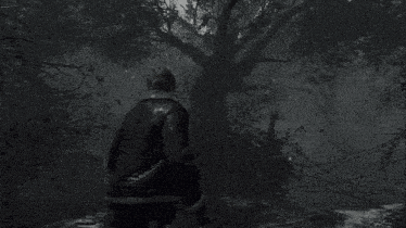a black and white photo of a person walking through a forest