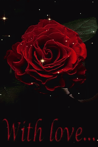 Rose Flower GIF - Rose Flower With Love GIFs