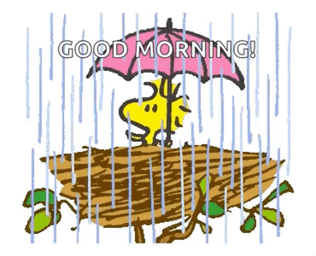 snoopy is holding an umbrella while standing in the rain on a nest .