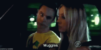 a man in a yellow shirt is talking to a woman in a car and the woman says muggles