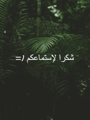 a blurry picture of a forest with arabic writing