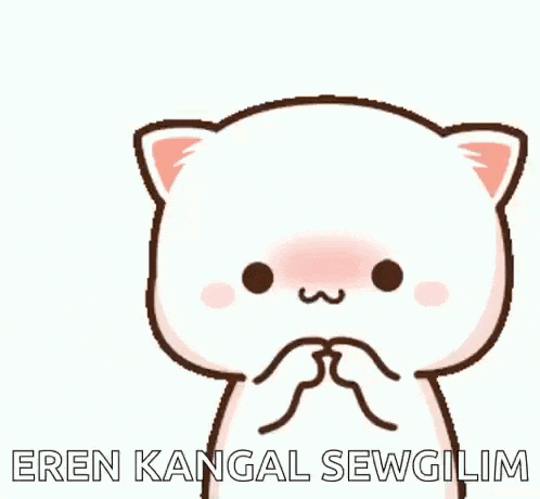 a cartoon cat is making a funny face and says `` eren kangal sewgilim '' .
