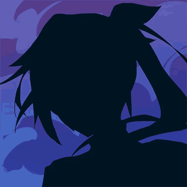 a silhouette of a person with a ponytail