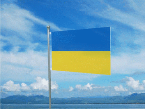 Ukraine Flag GIF - Ukraine Flag Flag Waver GIFs