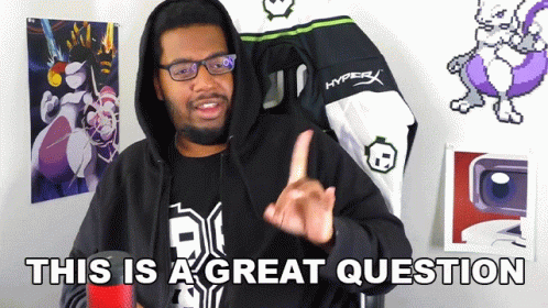 This Is A Great Question Wadi GIF