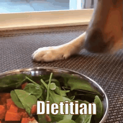 Dietitian GIF - Dietitian Diet On A Diet GIFs