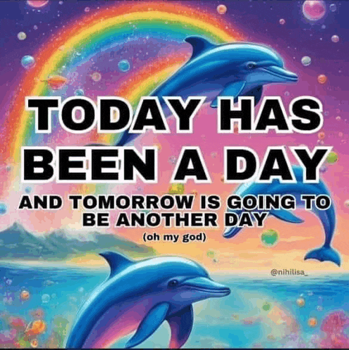 a picture of two dolphins with the words today has been a day and tomorrow is going to be another day .