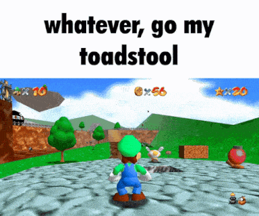 a screenshot of a video game with the words whatever go my toadstool