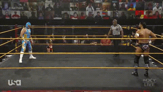 a man in a wrestling ring with usa written on the bottom right