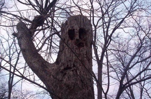 Tree Monster GIF - Tree Monster GIFs