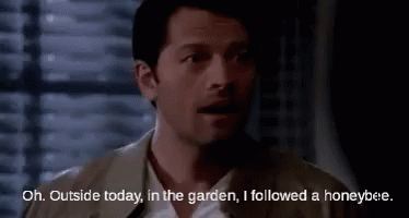 Outside Today, In The Garden, I Followed A Honeybee. GIF - Supernatural I Followed A Honey Bee GIFs