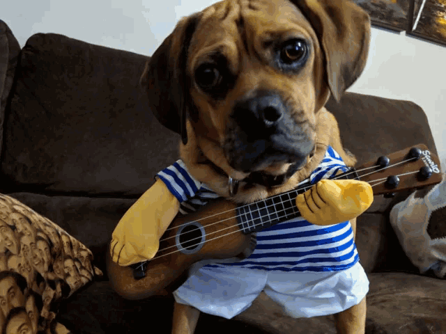 a dog wearing a striped shirt and shorts is holding a ukulele