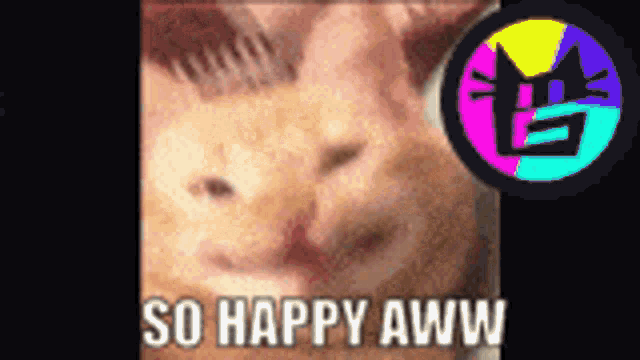 a picture of a cat with the words so happy aww below it