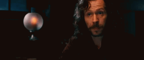 Harry Potter Sirius Black GIF - Harry Potter Sirius Black Explain GIFs