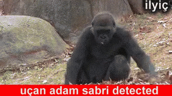 Uçan Adam GIF - Uçan Adam Maymun Sabri GIFs