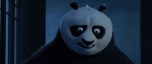Kung Fu Panda Po GIF - Kung Fu Panda Po What GIFs