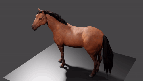 Horse Fall GIF - Horse Fall Flatten GIFs