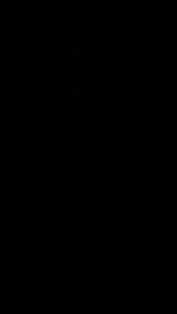 a woman is wearing a black velvet dress with long sleeves and a lace up front .
