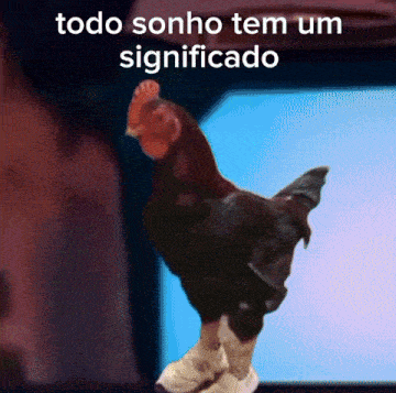 a picture of a rooster with the words todo sonho tem um significado written above it
