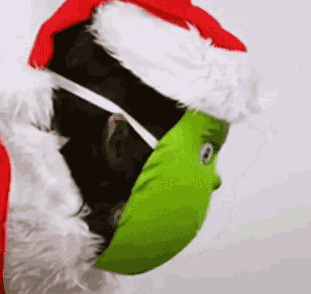 a person wearing a santa hat and a green mask .