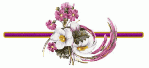 a bunch of pink and white flowers with a purple ribbon on a white background