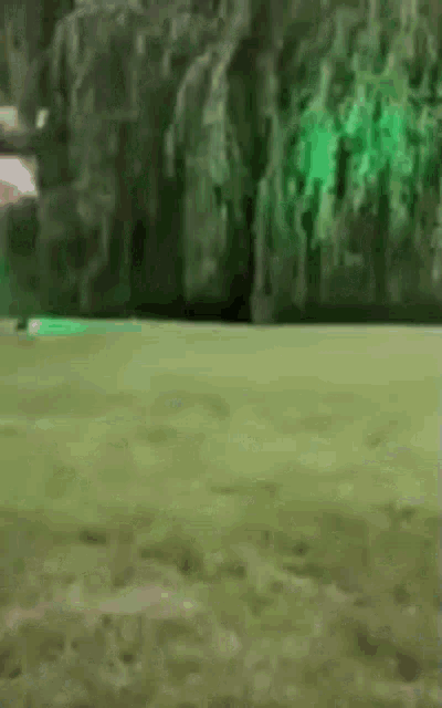 a green light is shining on a grassy field in a park .