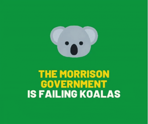 Lnp Morrison GIF - Lnp Morrison Koalakiller GIFs
