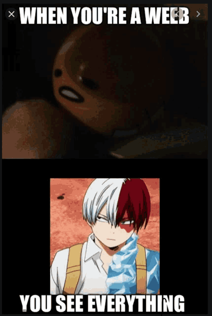 a meme that says when you 're a weeb you see everything on it